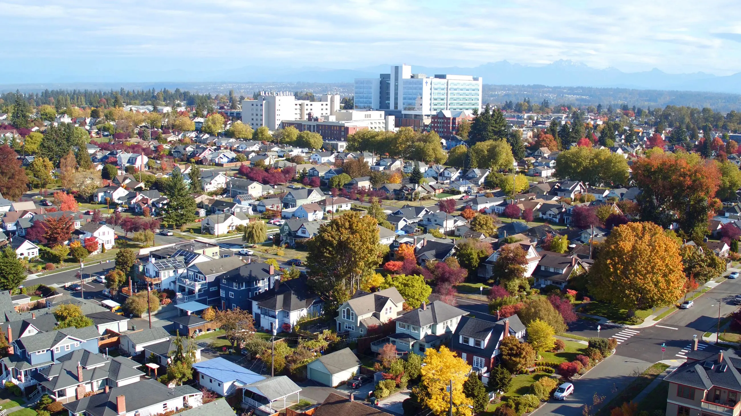 Appliance repair in everett
