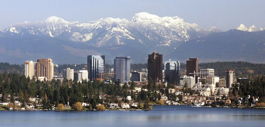 Appliance repair in renton